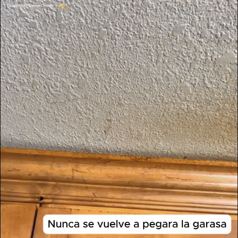 Sprayd desengrasante